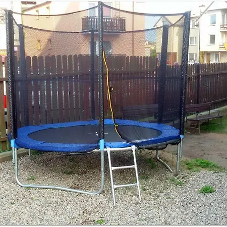 Aura Mare Homestay *